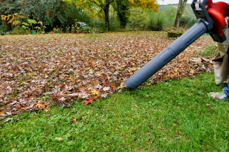 Professional Lawn Cleanup Equipment
