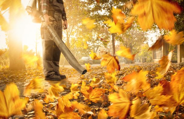 Leaf Blowing Service in Fort Walton Beach