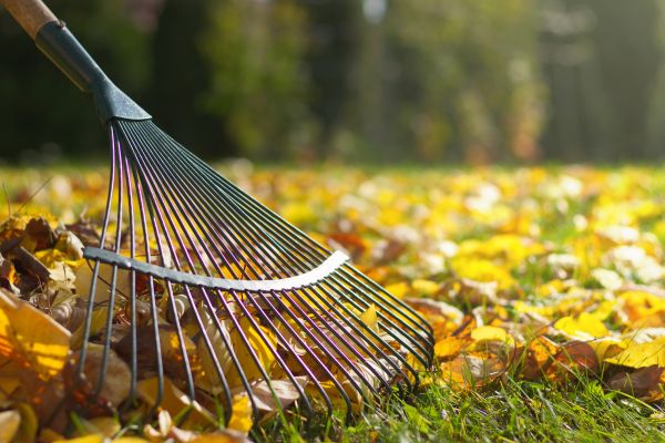Leaf Cleanup Service in Fort Walton Beach