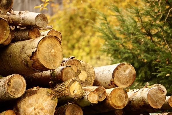 Wood Pile Removal in Fort Walton Beach