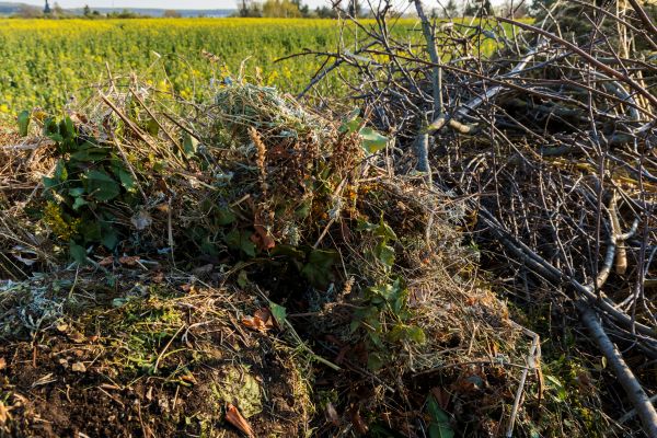 Brush Disposal in Fort Walton Beach