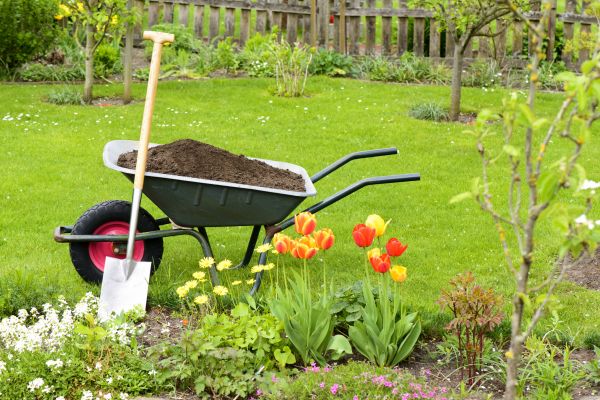 Spring Yard Cleanup in Fort Walton Beach