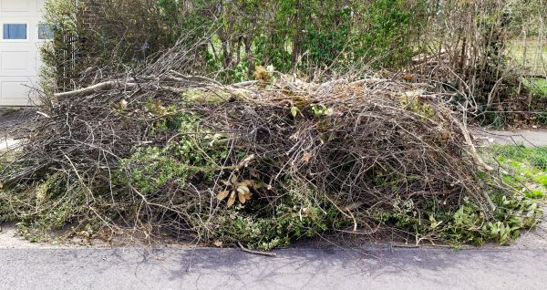 Tree Limb Cleanup in Fort Walton Beach