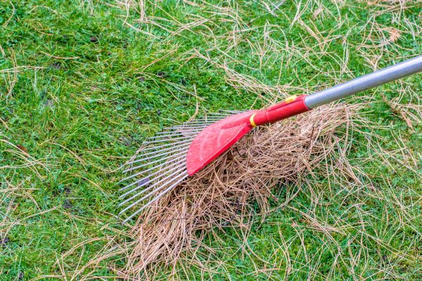 Yard Raking in Fort Walton Beach