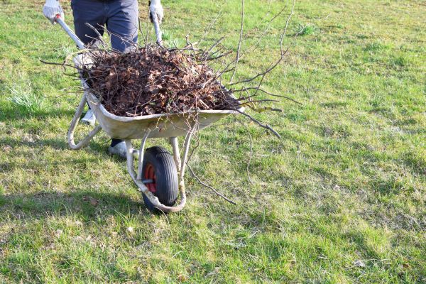 Yard Brush Removal in Fort Walton Beach