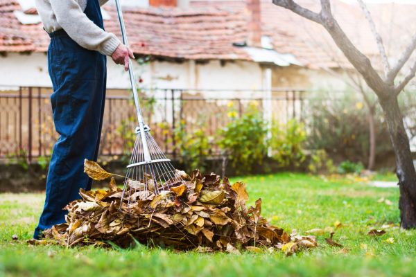 Spring Lawn Cleanup in Fort Walton Beach
