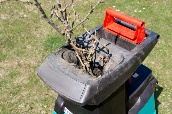 Brush Cleanup Service in Fort Walton Beach
