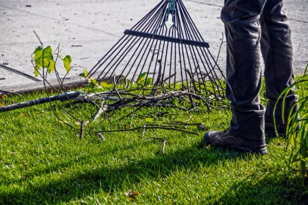 Yard Debris Cleanup in Fort Walton Beach