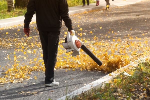 Commercial Leaf Removal in Fort Walton Beach