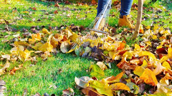 Lawn Cleanup Service in Fort Walton Beach